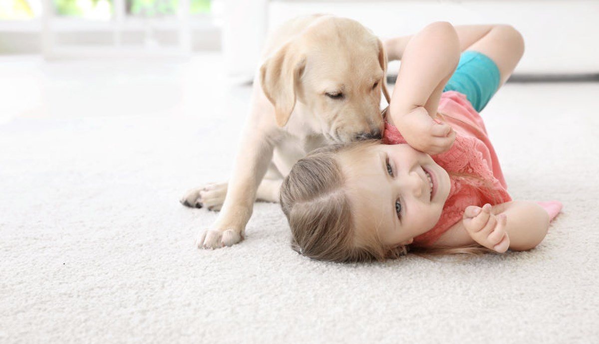 Doznajte zašto nas kućni ljubimci čine boljim ljudima