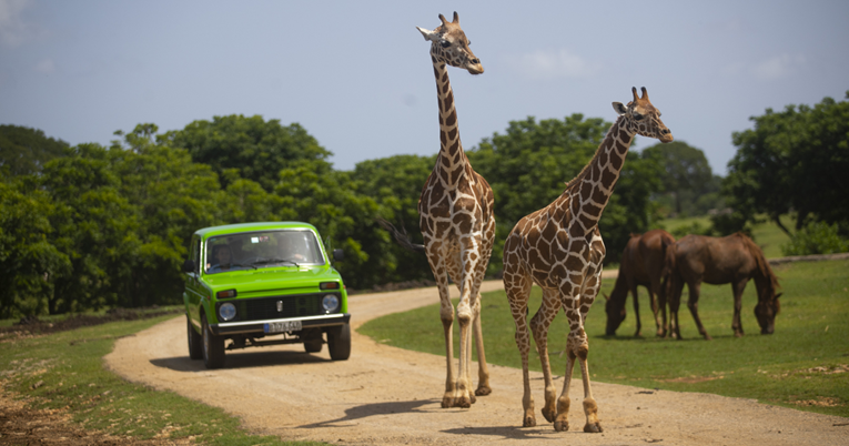 Kubanski ZOO angažirao tumače da gluhim posjetiteljima oponašaju afričku savanu