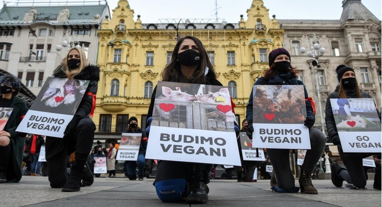 Prijatelji životinja: Veganska prehrana smanjuje rizike od razvijanja brojnih bolesti