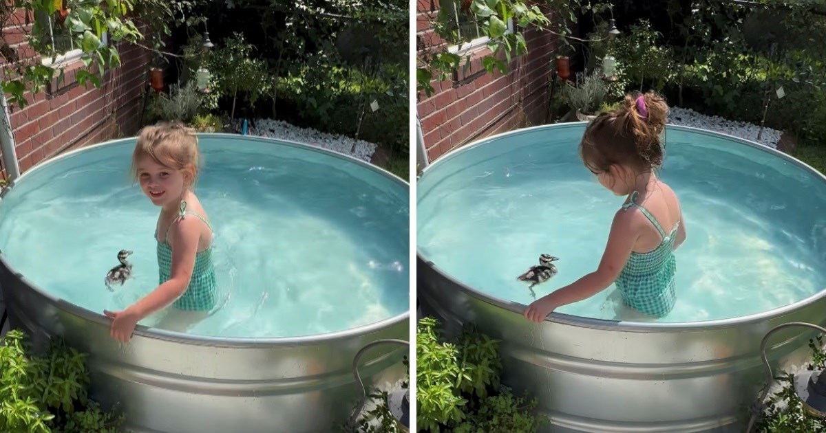 Ljude oduševio video curice i slatkog pačića koji se kupaju, pišu: "Preslatko"