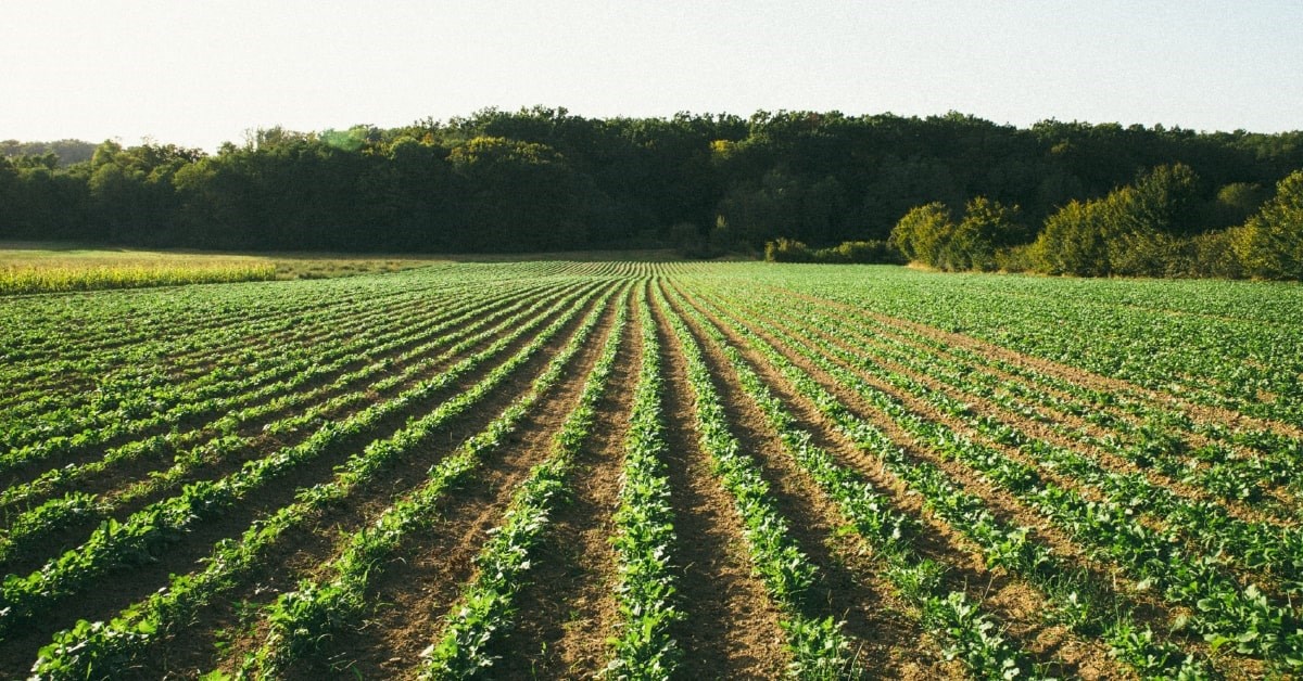 bio&bio obilježava EU Organic Day: Održiva budućnost na vašem tanjuru