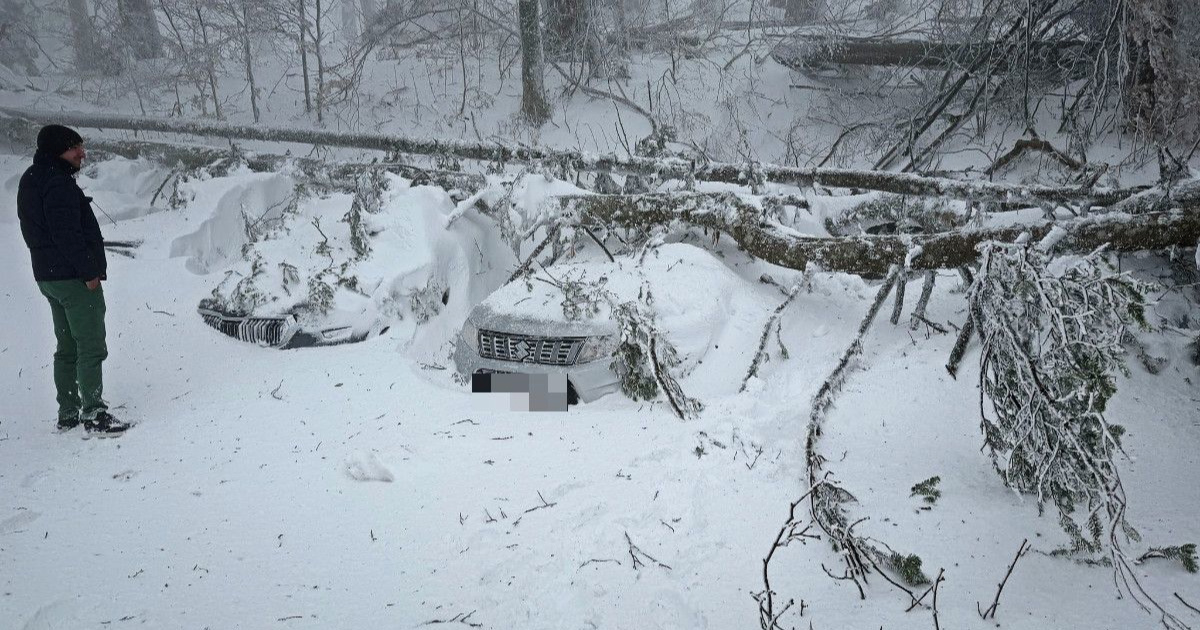VIDEO Učenici zapeli na Sljemenu, golemo stablo palo na više auta
