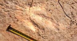 U Istri otkriveni novi tragovi dinosaura, evo gdje se nalaze