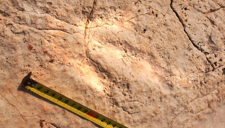 Speleolog šetao sa suprugom po Istri, slučajno otkrio nove tragove dinosaura
