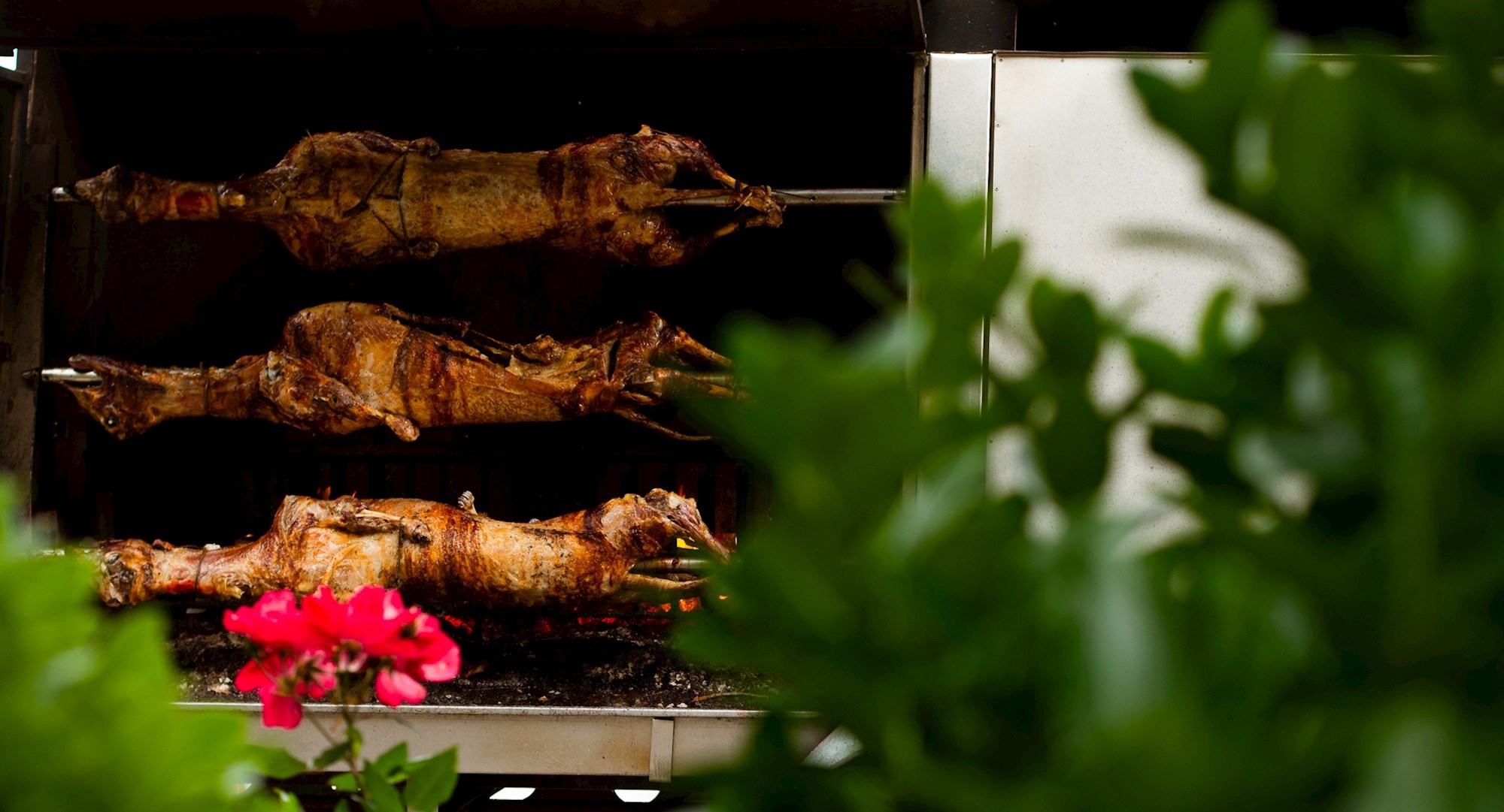 Na Krku se ovaj vikend jede janjetina s ražnja, kotleti, ćevapi, presnac. Evo detalja