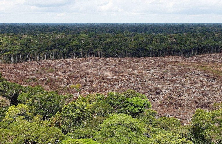 Broj požara u Amazonskoj prašumi porastao za 83 posto u odnosu na lani
