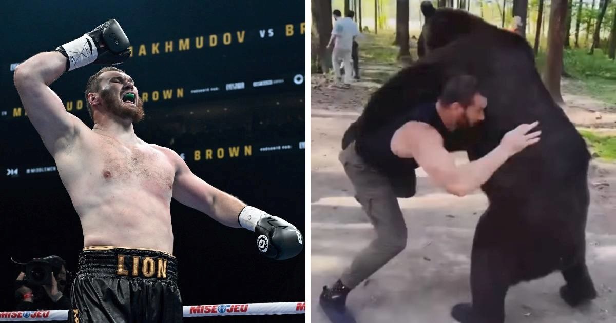 Ruski boksač hrvao se s medvjedom. Sad je pobijedio i čeka ga borba s Joshuom