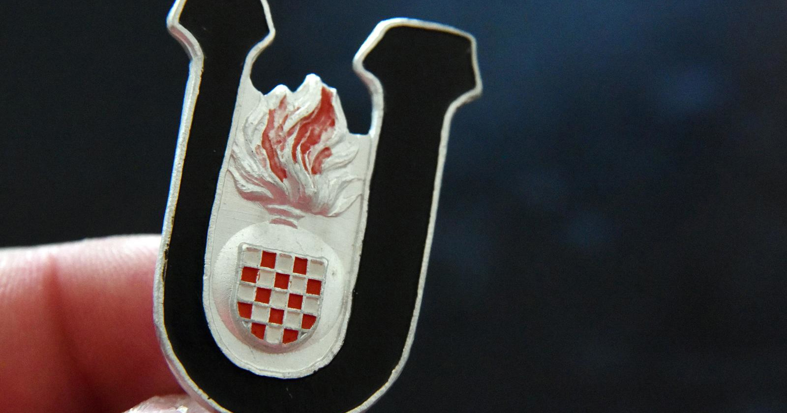 Republika Srpska uvodi zatvor za javno isticanje ustaških simbola