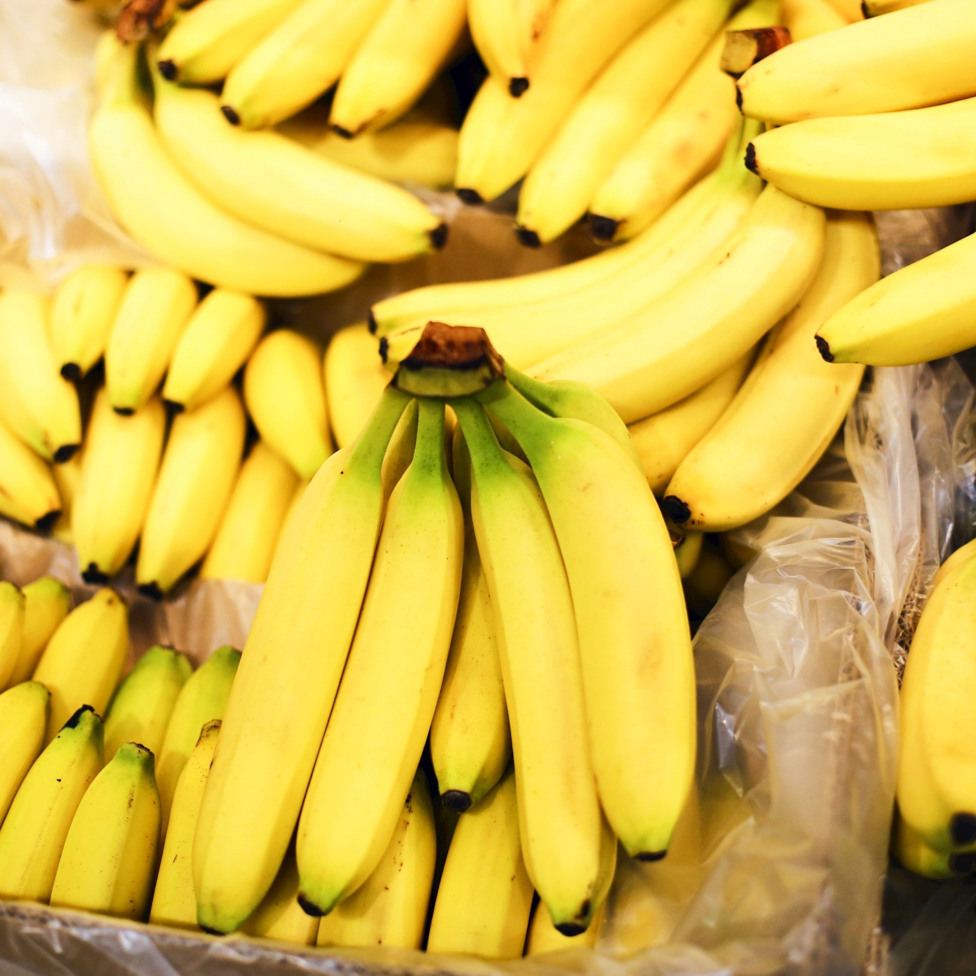 Svakodnevno jedemo banane, a za ovu ludu činjenicu nismo znali