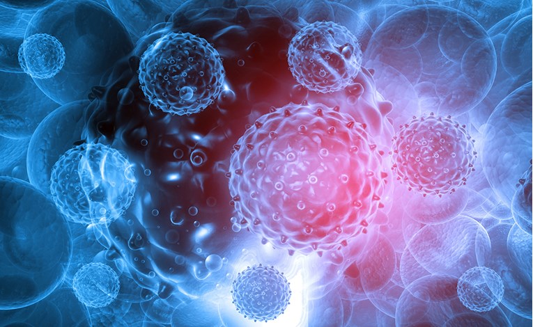 Stanice koje napadaju koronavirus pronađene kod rekonvalescenata