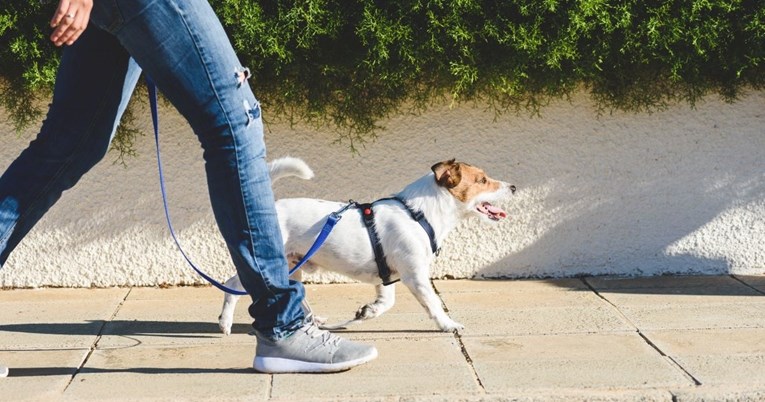 Žena otkrila trik koji pomaže procijeniti je li prevruće za izvesti psa u šetnju