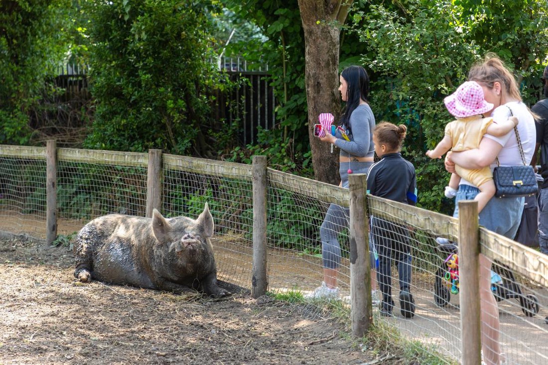 ZOO vrt šokirao nazivom dječjih ulaznica, ljudi pišu: "Kako je ovo uopće odobreno?"