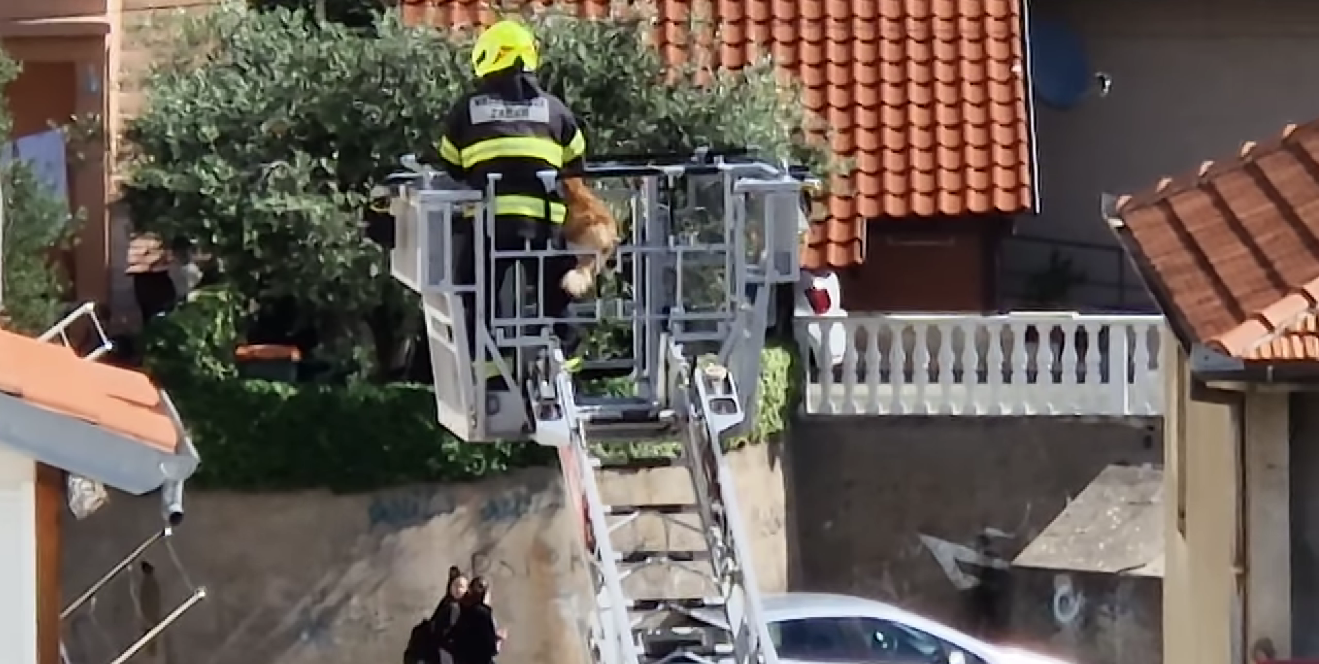 Maca u Zadru završila na krovu. Spasili je vatrogasci