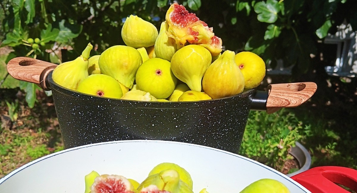 Kada uberete hrpu smokava, od njih napravite slasni džem po ovom receptu