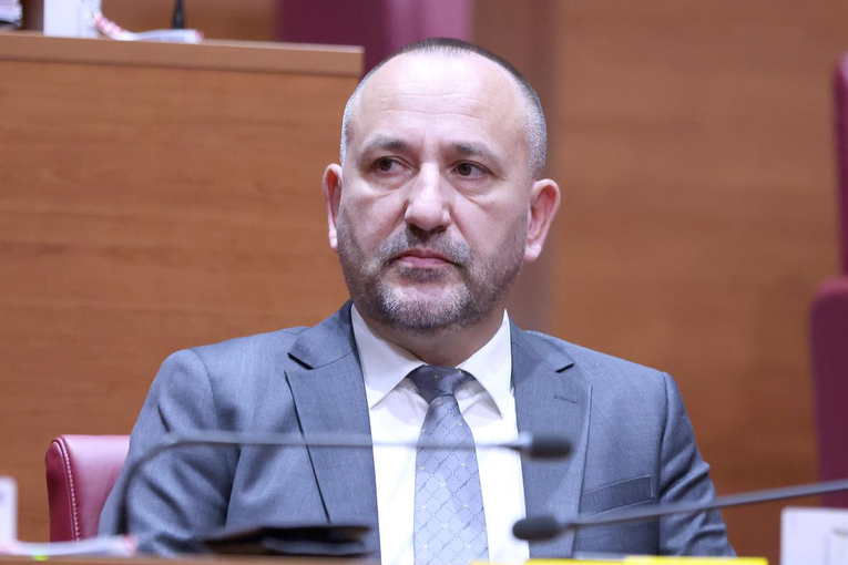 Zekanović: Predsjednik Milanović je za vanjsku politiku napravio jedno veliko ništa