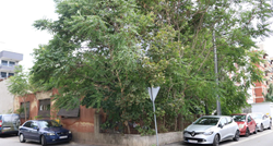 FOTO Ova kuća na Trešnjevci privlači pažnju prolaznika, priroda ju je "progutala"