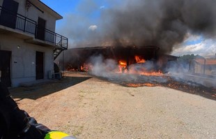 FOTO Ogroman požar gospodarskog objekta kod Požege, izgorjelo 10 svinja
