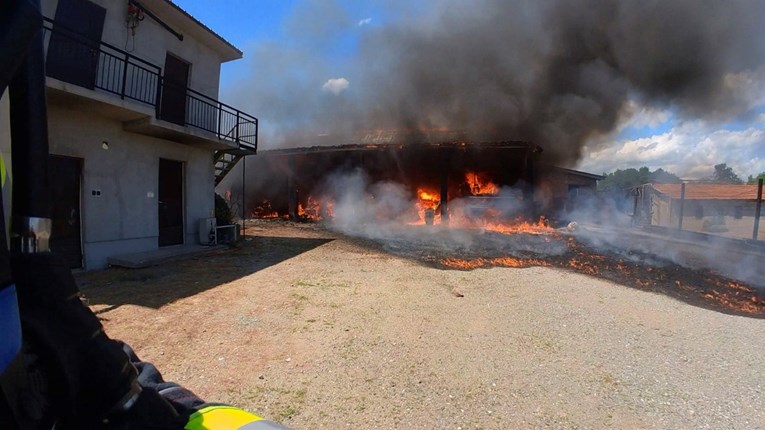FOTO Ogroman požar gospodarskog objekta kod Požege. Izgorjelo 10 svinja, krov...