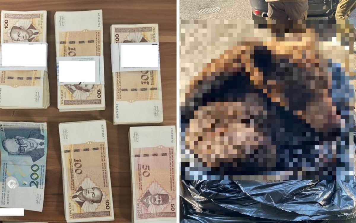 Dva ulova na hrvatskoj granici: Zaplijenili hrpu keša i kožu zaštićenog medvjeda