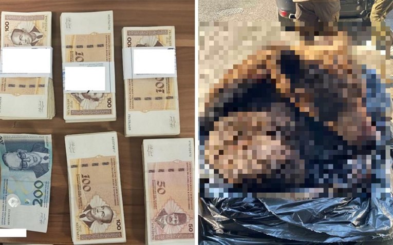 Dva ulova na hrvatskoj granici: Carinici pronašli hrpu keša i kožu mrkog medvjeda