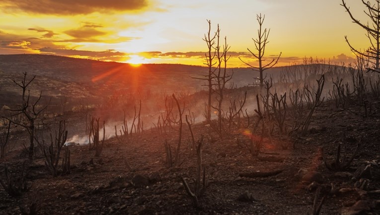 Znanstvenici: Svijet će se zagrijati iznad ključne granice od 1.5°C do 2027.