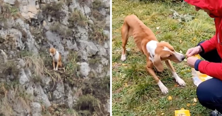 GSS-ovci spasili psa koji je zapeo na stijeni kod Livna