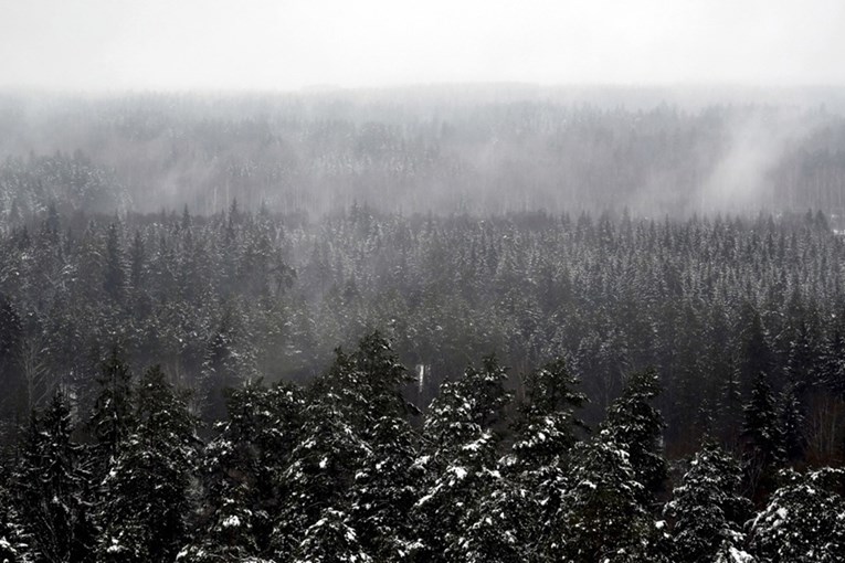 IKEA kupuje šume u Latviji i Litvi