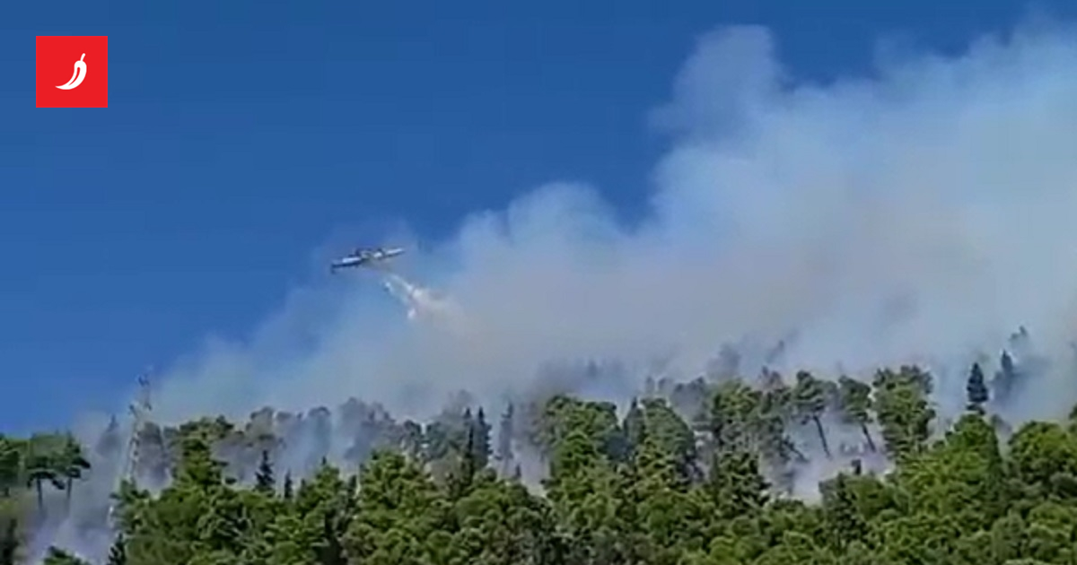 Velik požar kod Ploča, na terenu avioni