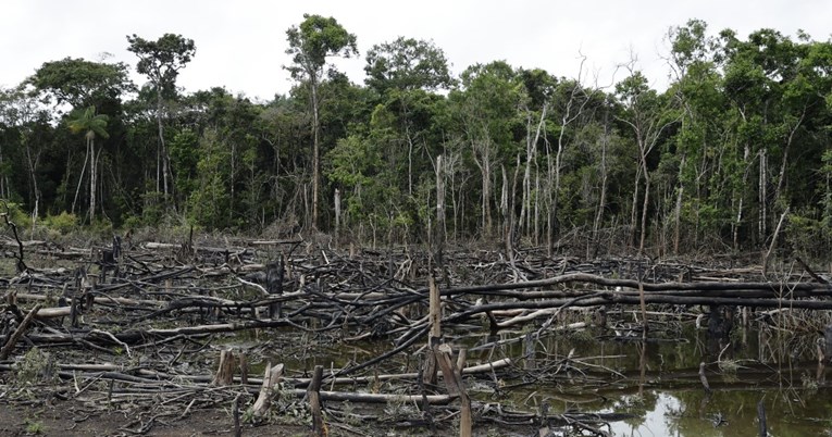 Europski parlament želi zabraniti proizvode zbog kojih se krče šume