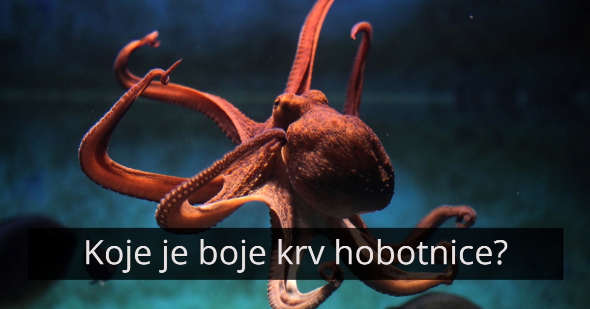 Ako nemate barem 5/7 u ovom prelaganom kvizu općeg znanja, vratite se u školu