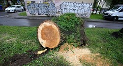 VIDEO Uklonjeno stablo koje je na zagrebačkom Prisavlju palo na cestu