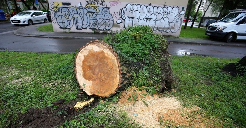 VIDEO Uklonjeno stablo koje je na zagrebačkom Prisavlju palo na cestu