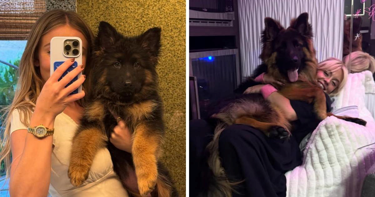 Sydney Sweeney oduševila fanove novim fotografijama svog psa