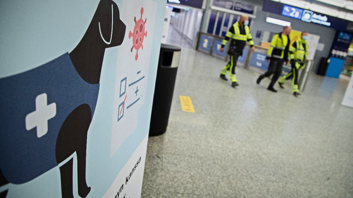 Njemački psi istrenirani nanjušiti koronu, veterinari kažu da je preciznost 94 posto