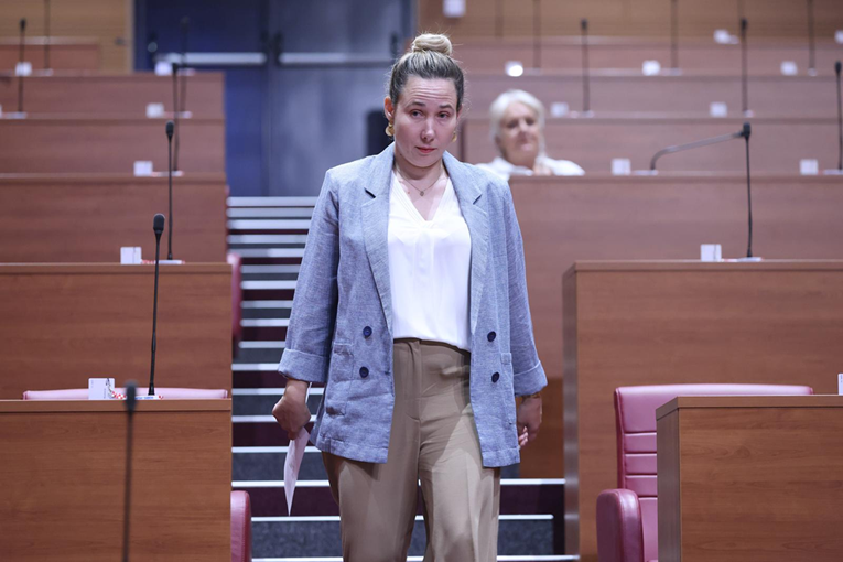 HDZ-ovci poručili Selak Raspudić: Imali ste dobru namjeru, ali fulali ste propis