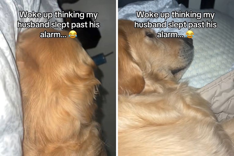 Žena je mislila da je suprug zakasnio na posao, a onda je shvatila tko leži pored nje