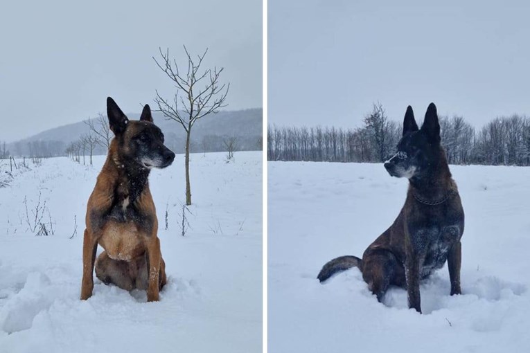 Cash i Megy razminiravali su Hrvatsku. On je pronašao dom, pomozimo i njoj