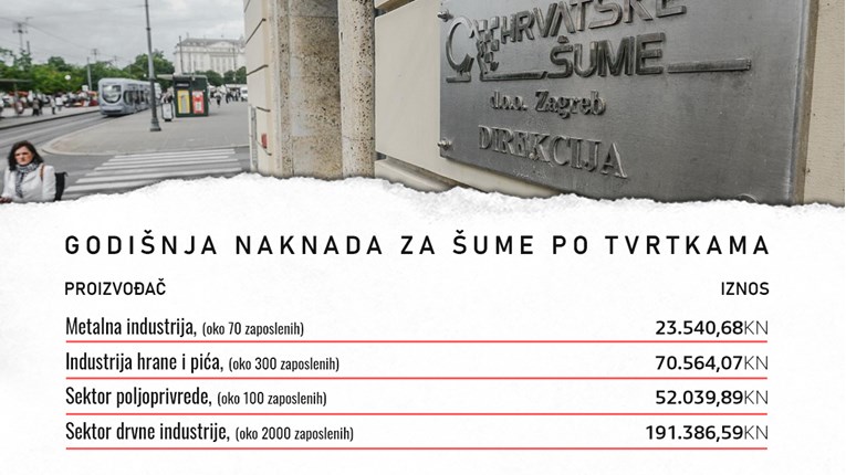 Znate li da firme moraju bogato plaćati Hrvatske šume? "To je raj za uhljebe"