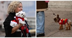 FOTO Preslatki psići u blagdanskom ruhu prošetali centrom Zagreba i ukrali pažnju