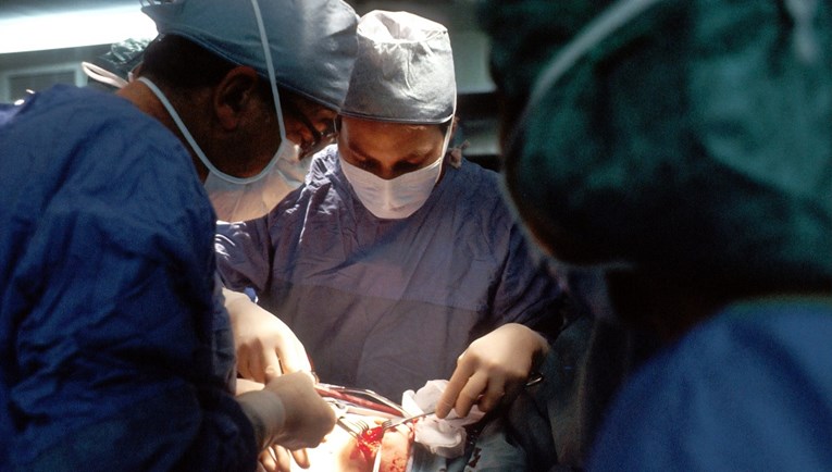 Klinički mrtvom Amerikancu presađen bubreg svinje. Organ radi i 32. dan od operacije