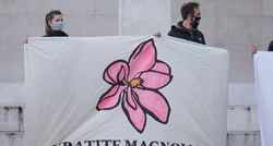Zagrebačka inicijativa: Uspjeli smo, vratit ćemo magnoliju na Trg žrtava fašizma