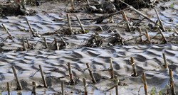 Varaždinski župan proglasio prirodnu nepogodu zbog poplave