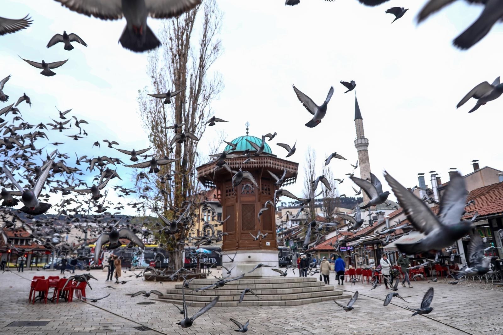 Sa sarajevske Veterine tvrde: Potvrdili smo prijenos korone s čovjeka na psa