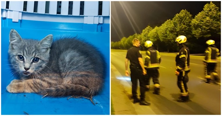 Ovaj mačić je zagrebačkim vatrogascima sinoć zadao pune ruke posla