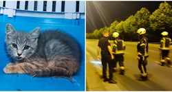 Ovaj mačić je zagrebačkim vatrogascima sinoć zadao pune ruke posla