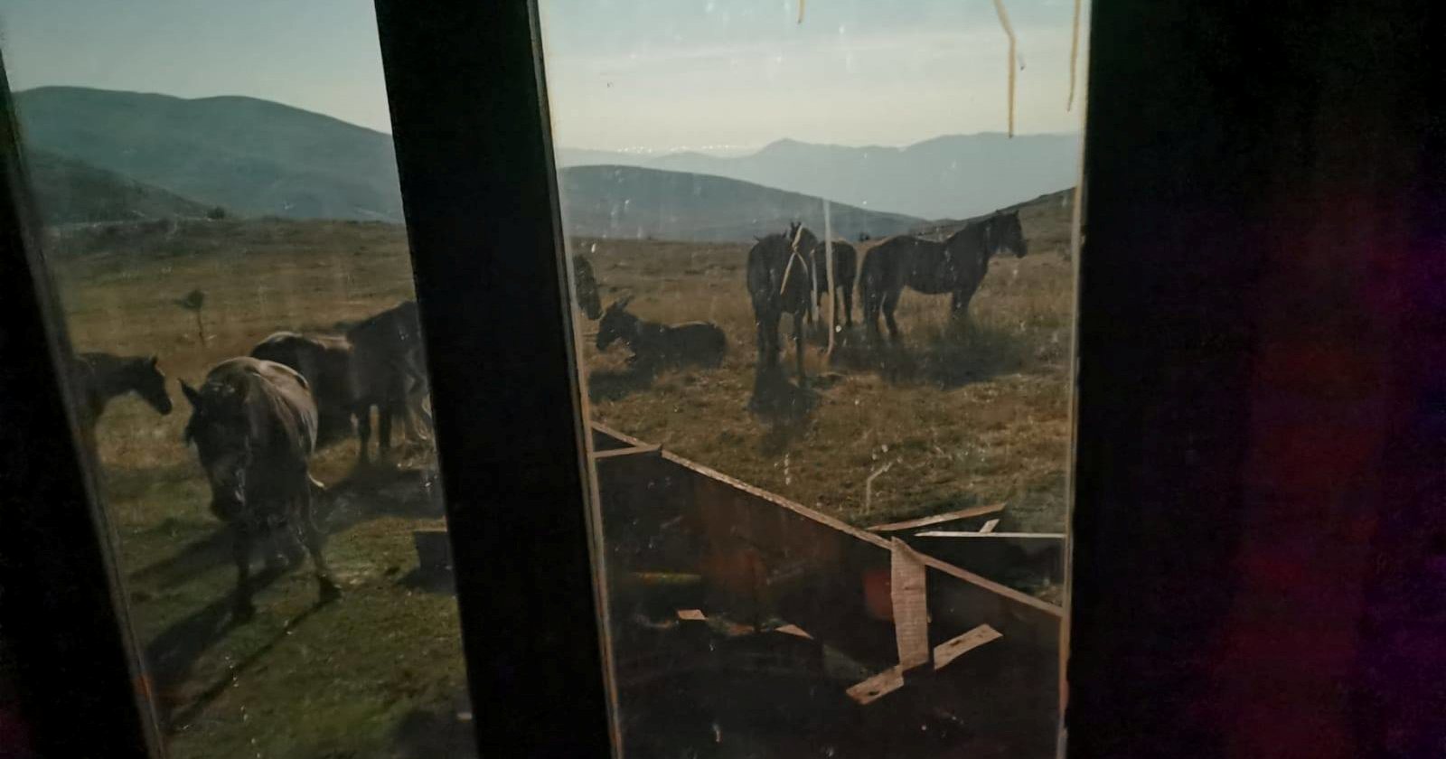 Zagrebački planinari: Poludivlji konji su cijelu noć napadali naše sklonište na Dinari