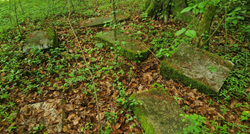 U šumi u Ozlju polako nestaje zaboravljeno židovsko groblje