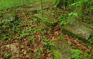U šumi u Ozlju polako nestaje zaboravljeno židovsko groblje