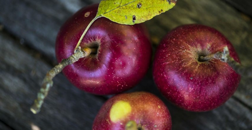 Hrvatski znanstvenici otkrili veliku prednost tradicionalnih sorti jabuka