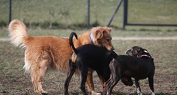 Upozorenje vlasnicima pasa u Zagrebu: Netko namjerno ostavlja okolo hranu s čavlima